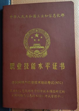 网络销售员